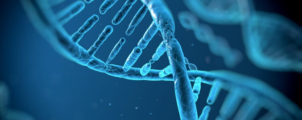 What is Ancestral Health?